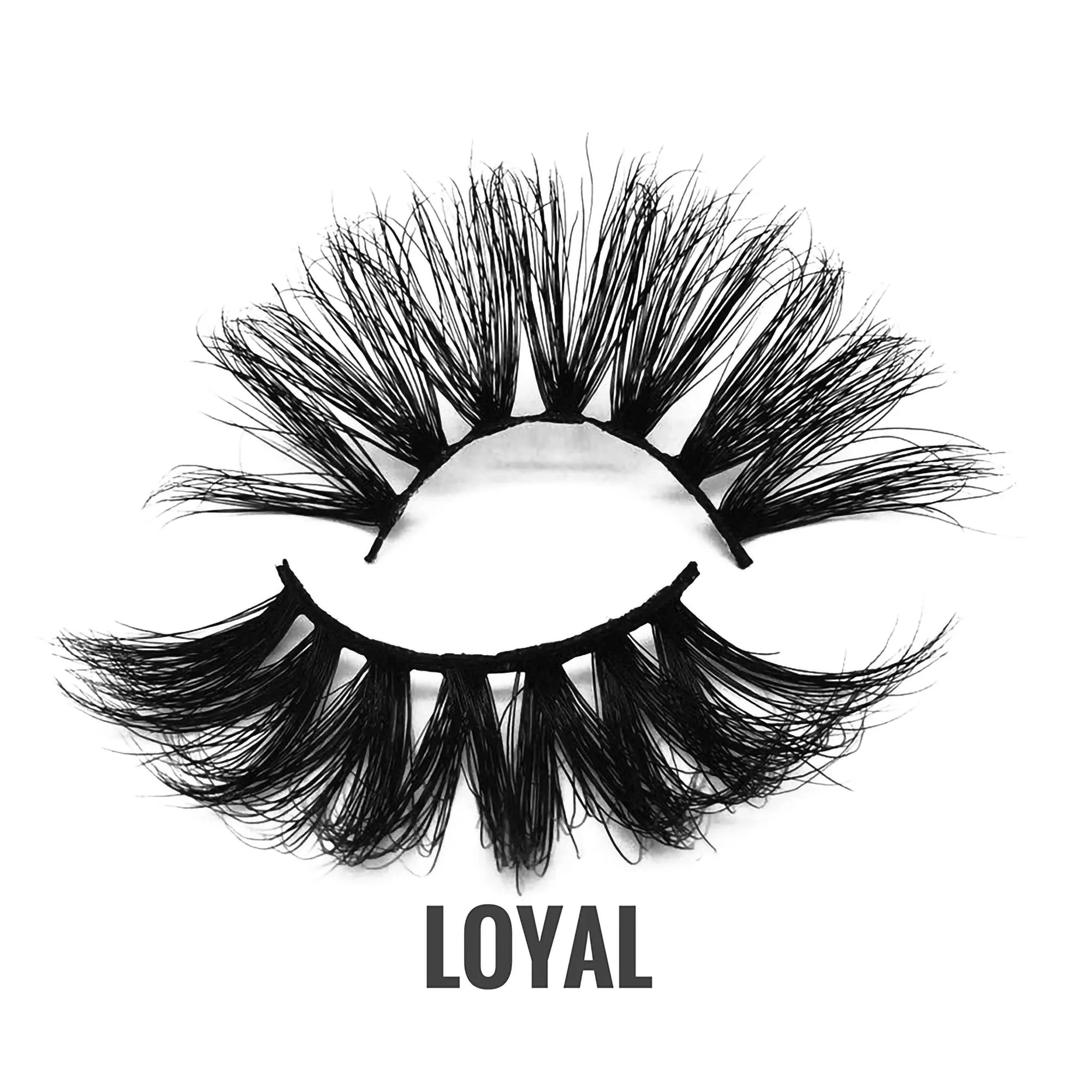 3D Luxury Mink Eyelashes Loyal